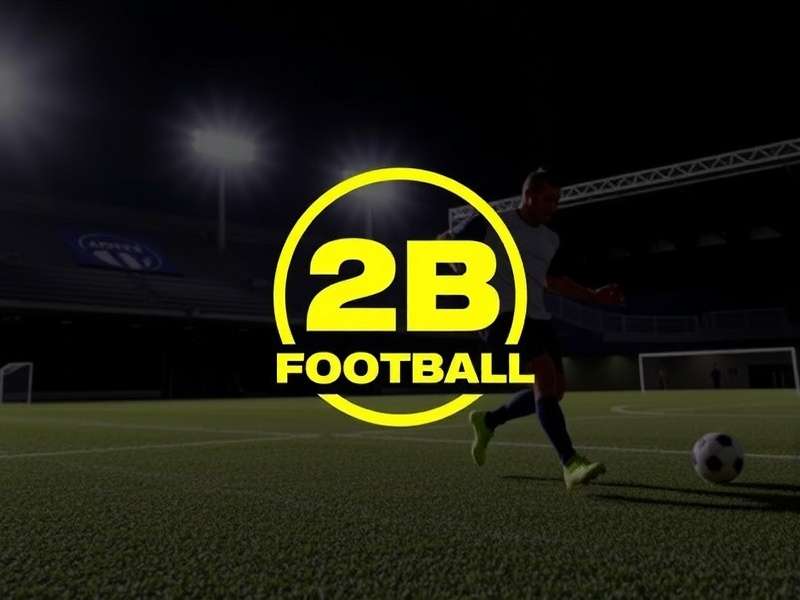 Professional Match Footballs